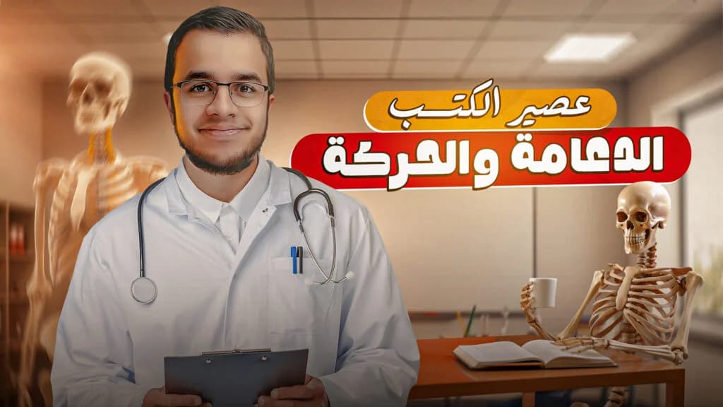 المحاضرة 2 : الأعضاء والخلايا الليمفاوية والمواد المساعدة